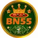 BN55
