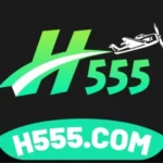 H555 game